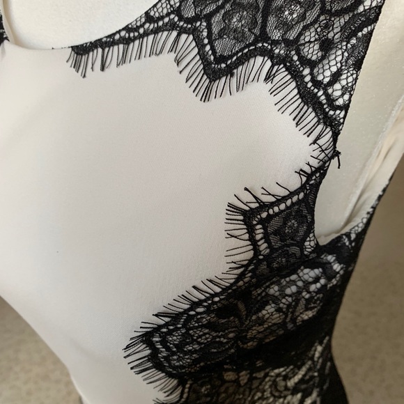 Hayden white sheath dress with black lace (sz 4) - Picture 8 of 10
